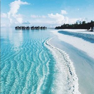 Meet your Posher, Sally